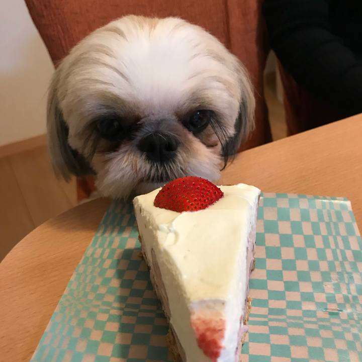 039d5109 b76d 40f2 8617 d08fb7f05877 1606911121066