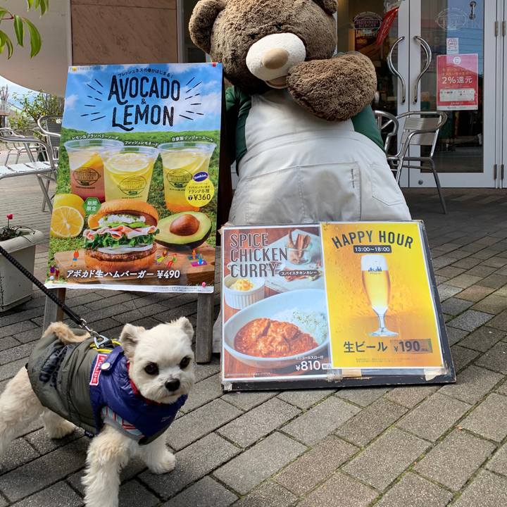 039da22e 9828 40eb b0f3 cce11d8b4363 1584262899854