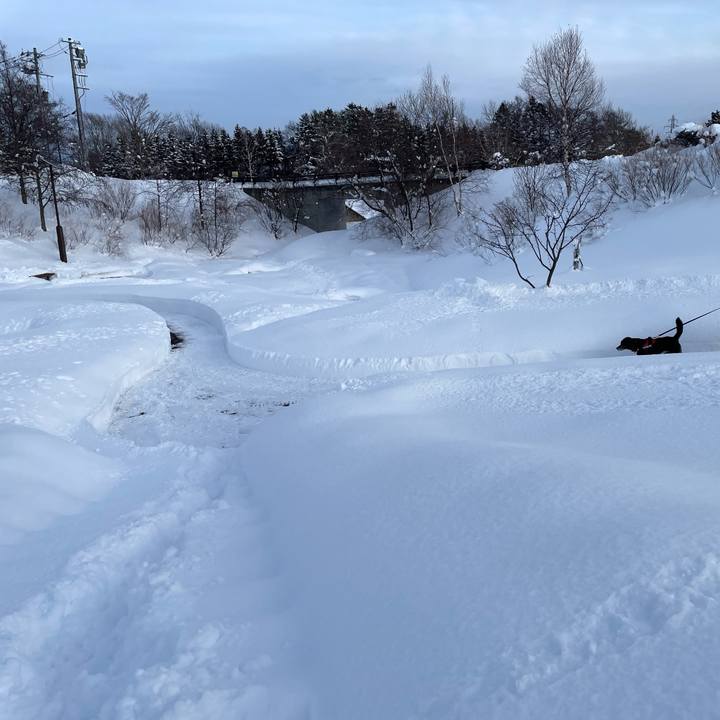 039de0ad 49cc 422b bebc b86a35cb5e16 1769507651881