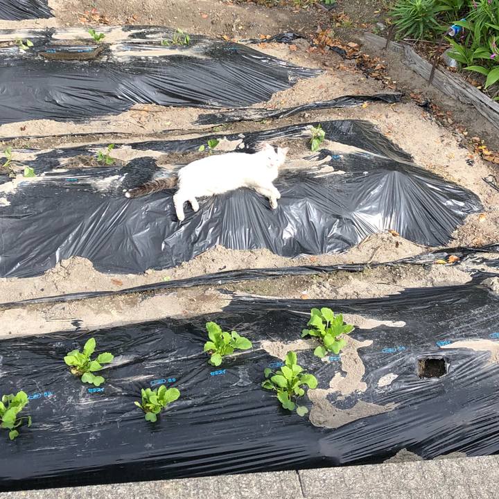 039deeee c9c4 4795 b6f9 9fcf17634362 1525580473334