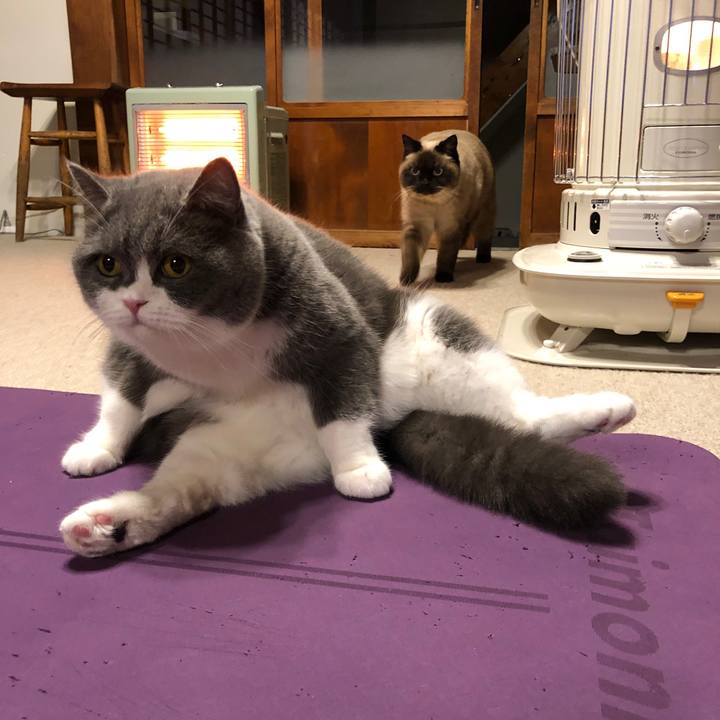 039e18b3 2842 4f40 917a 352cf44bf713 1612530638416