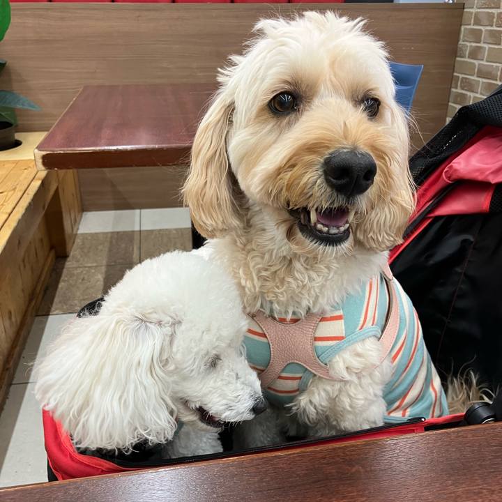 039e76b0 7f63 48bf 8d57 4af151079b77 1768125847093