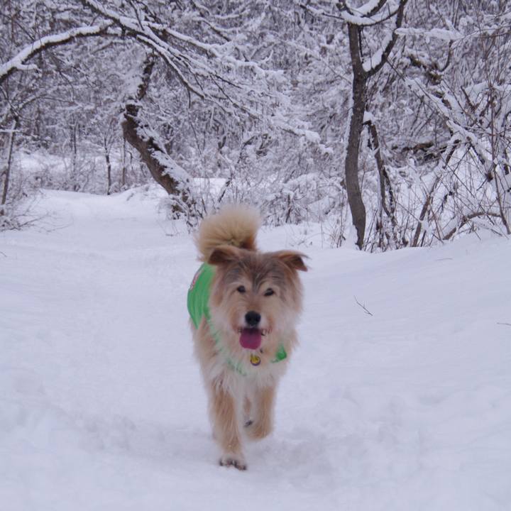 039e9dcc 9c59 4860 a4da f1c31a879ff4 1578039537295