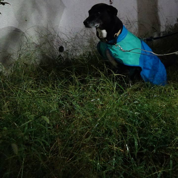 039eac6a 86c7 4775 9d13 5f26e7f9f462 1727270845190