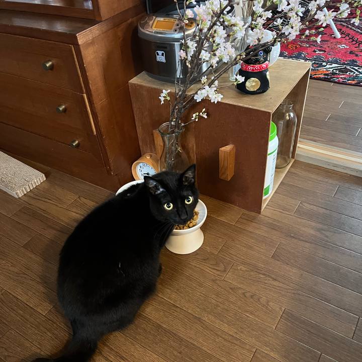 039eb147 7868 4035 9ceb 1e93a7ad22a2 1708562224104