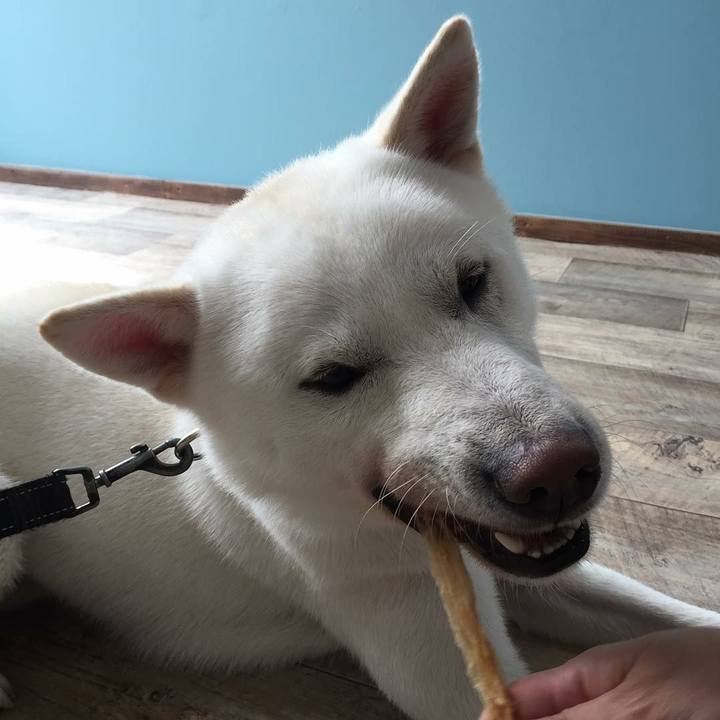 039efe3b 4729 4900 9927 0409aedc871a 1556619164304