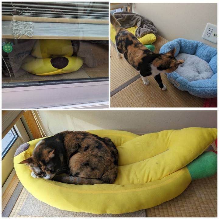 039f3fe9 5a8e 4a15 8802 d24fc56f8c41 1699846185857