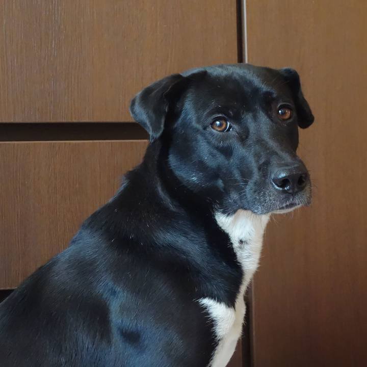 039f5e37 151c 4d3d a957 ad94dfc741b1 1581902805537