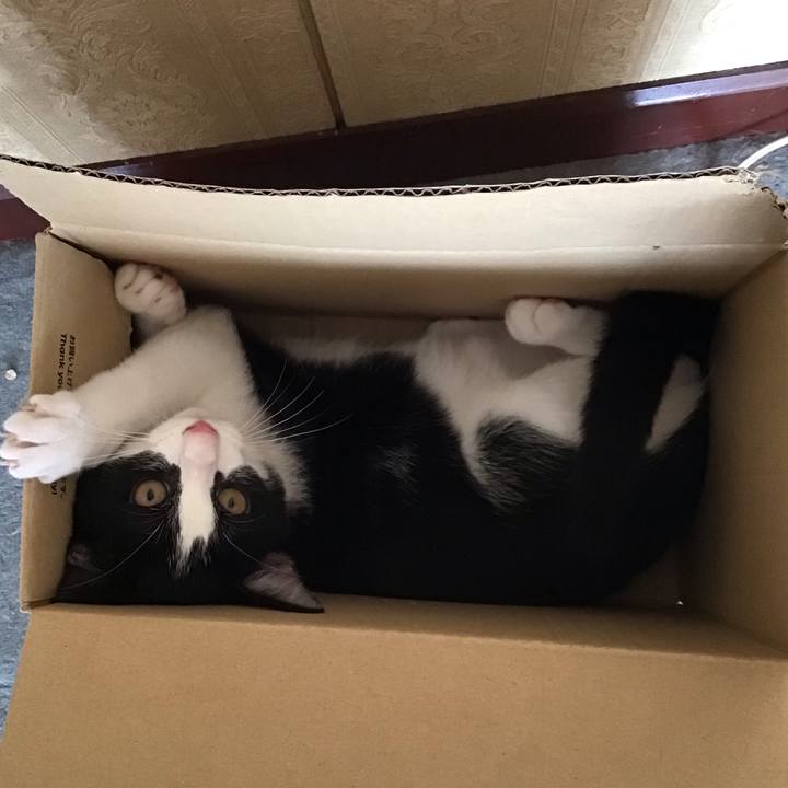 039f6fe2 1962 462e 8e09 650b7ecc57fe 1629788528673