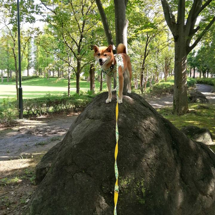 039f7964 56b7 423d 896b cdcb26417a5b 1596240992924