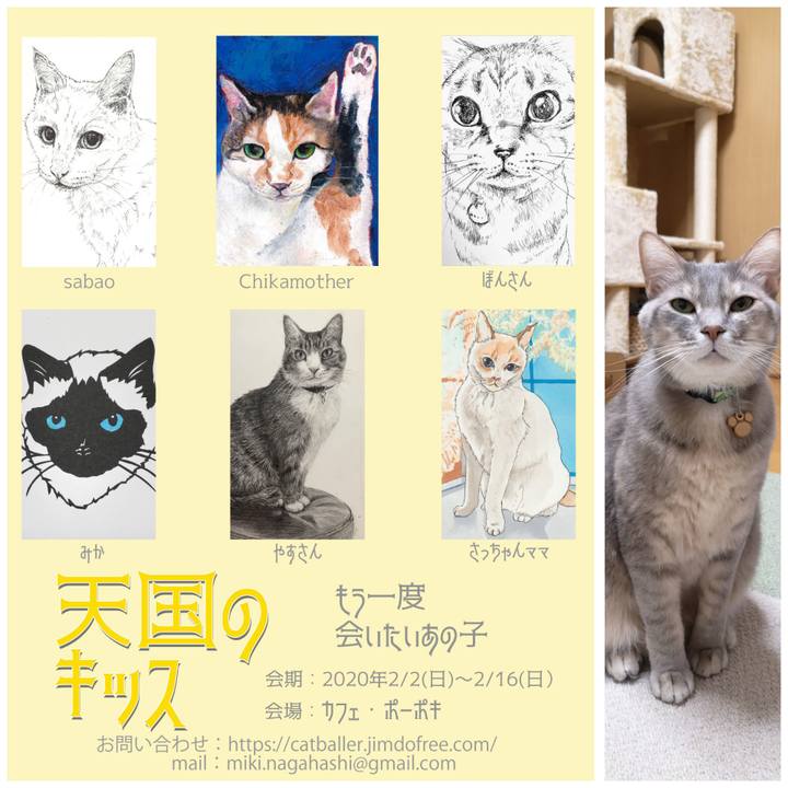 039f88e0 d2b2 4ea5 a97e 51aade95983a 1581684608606