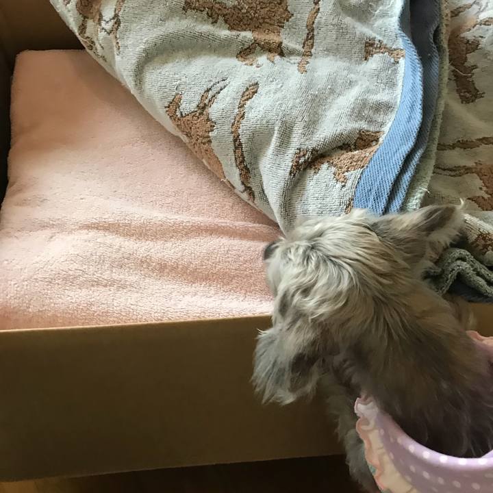 039f8f77 a5ac 4b2d 97b6 dd1e7b26e0af 1511312688176