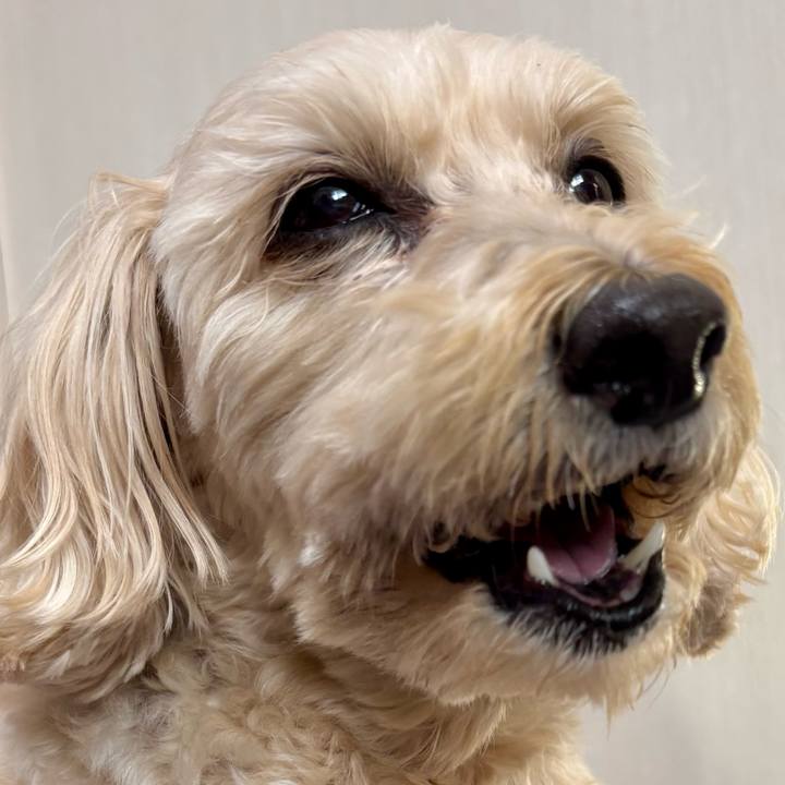 039f96d9 103f 4253 a568 7056596fb694 1769483920430