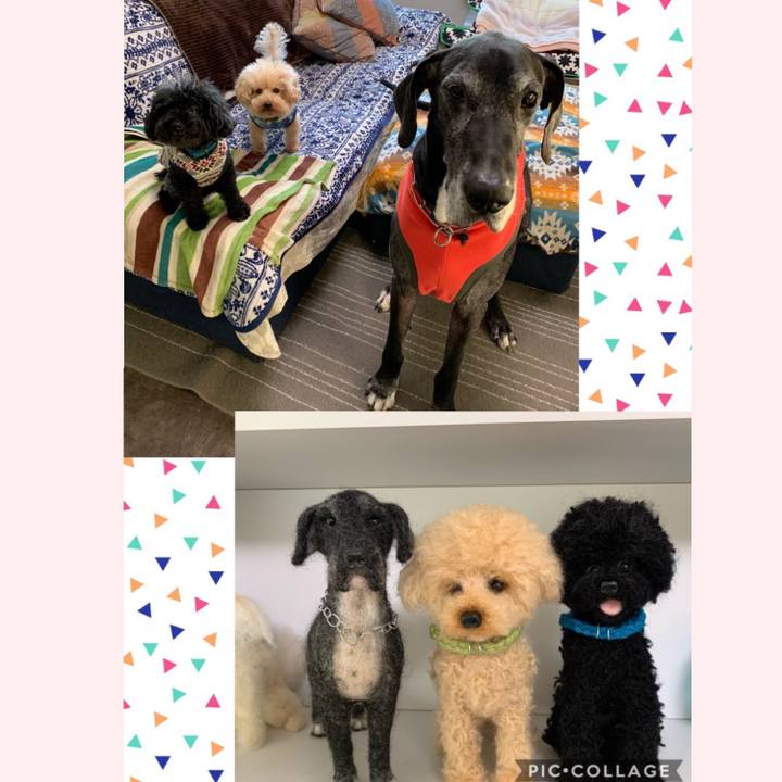 039fc278 f5d1 4080 873a 65f8a10dccdd 1582063627920