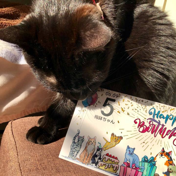 039fee30 74c7 4799 8181 12e522bab80e 1623191856362