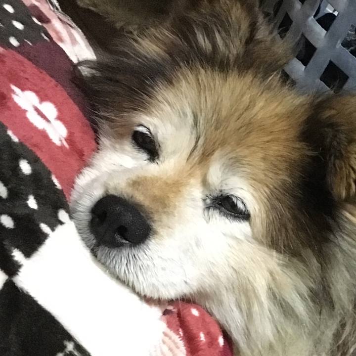 039ff588 ed18 49a9 8f24 21cfd54cfcb8 1550838106555