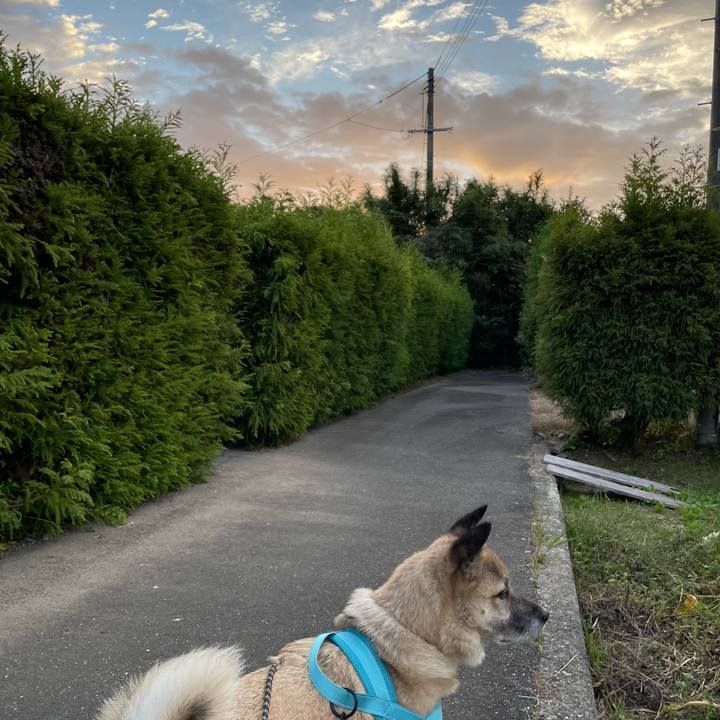 03a0372b 5cf0 40aa 9a49 162da3052d3b 1728993494507