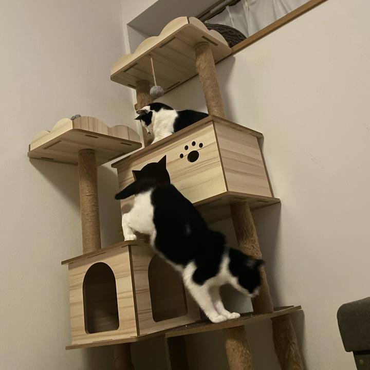 03a058bf 376f 4690 b8f7 e92266093474 1702965705022