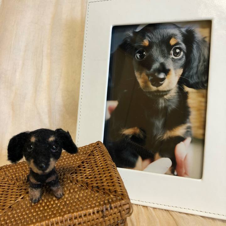 03a072e9 d9a3 4e3b 885a 7986b3c6e65e 1530326144594