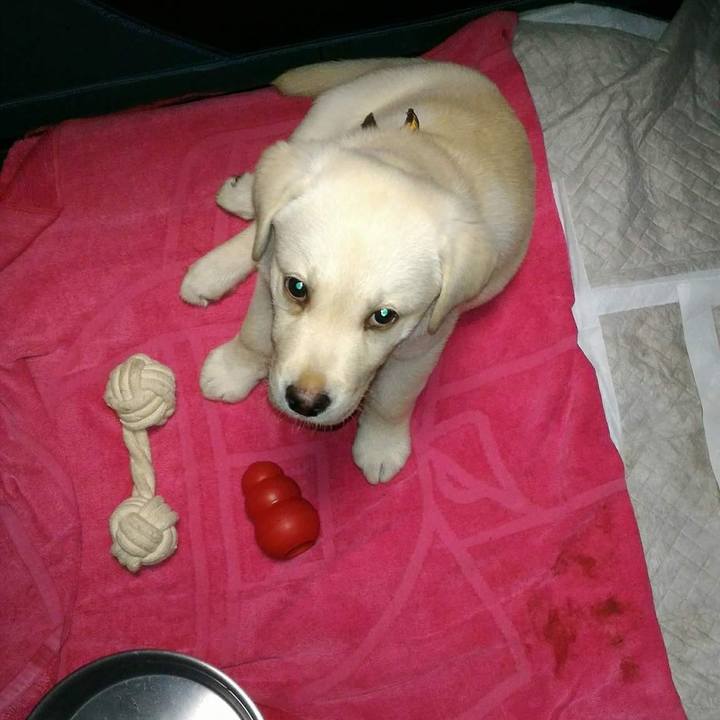 03a08edf ec87 42af 8500 f4be74bcdb2e 1527776073798