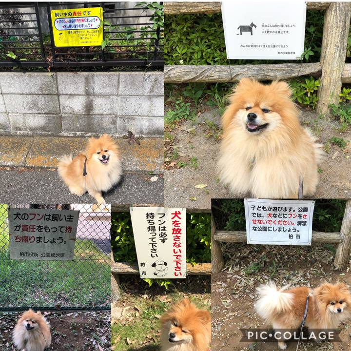 03a0b285 4b5f 48c5 8570 24053320ef5a 1558056887365