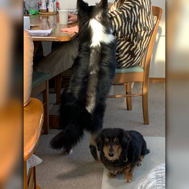 03a0d30e 14e6 4ce1 a114 182391860579 1546730496962