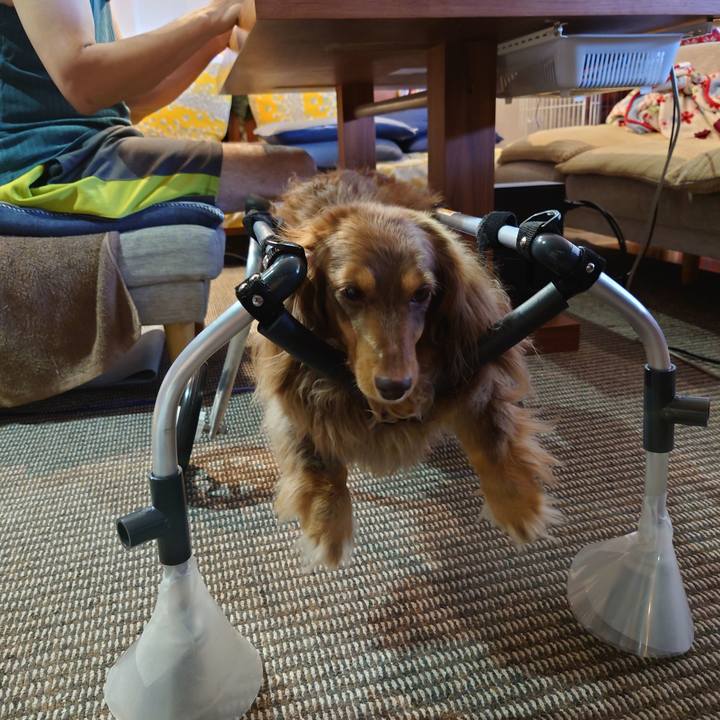 03a0fbf0 e6e4 426c bbd9 20f0788f893f 1656934553011