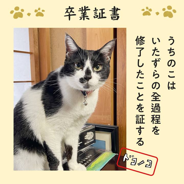 03a10078 81ac 4063 9514 bb4f14ec2e65 1771886952454