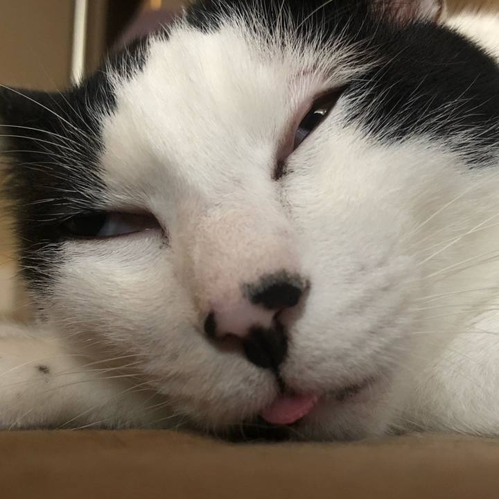 03a16f12 e300 4f96 a441 5c9a4294ae59 1592685043882