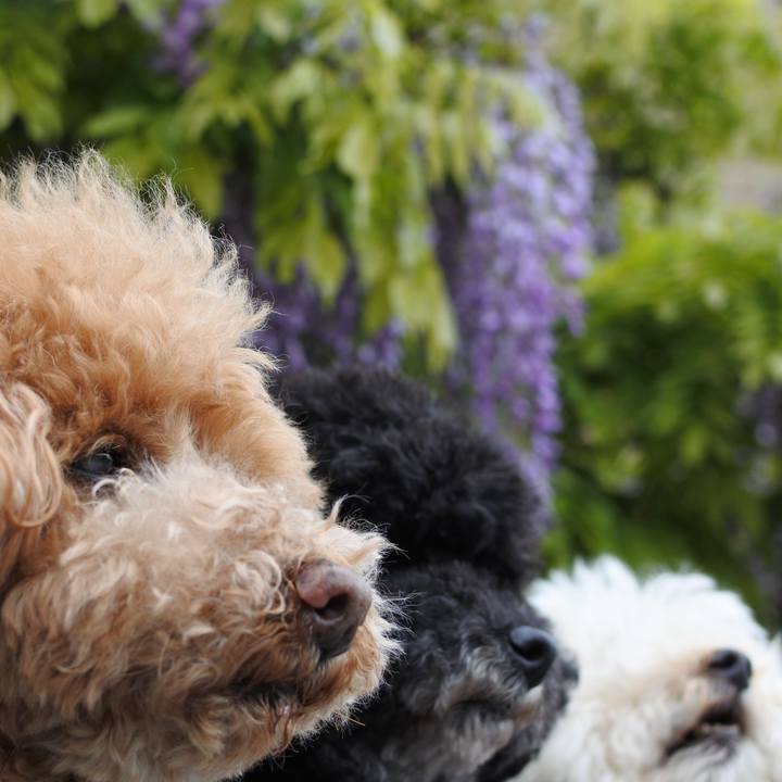 03a19b02 0b68 4472 a2be a322b7b8925b 1759241901003