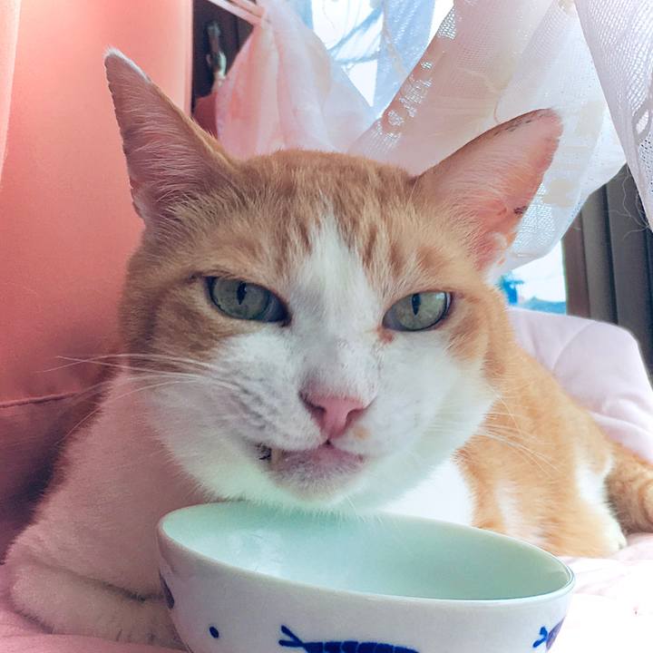 03a19b81 4ad2 4db6 8c04 d428d176f1a5 1596405111566