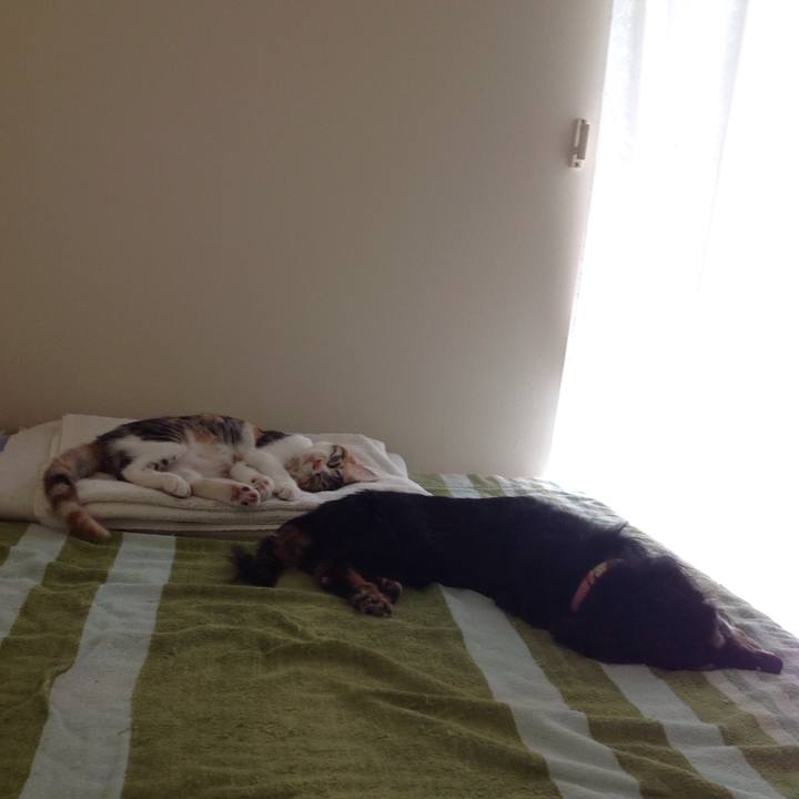 03a1ac57 240b 419c 8e6c 0b0df04b88c7 1629255510181