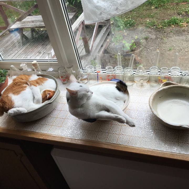 03a1b5b5 ded1 4f12 8e61 01a2a13ededa 1561857244658