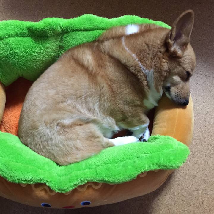 03a1d0f0 049d 4da9 b672 373cfa60c954 1543500801959