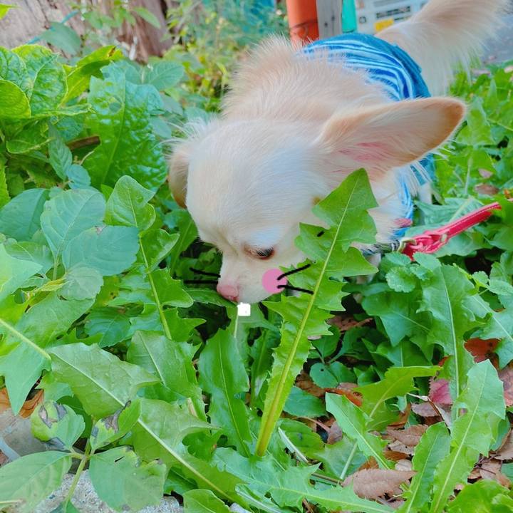 03a2181d 1e08 4d7d b814 938994a20cd2 1636005735889