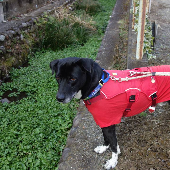 03a26392 f601 4d66 a59a 0ef7a993f45b 1676597456002