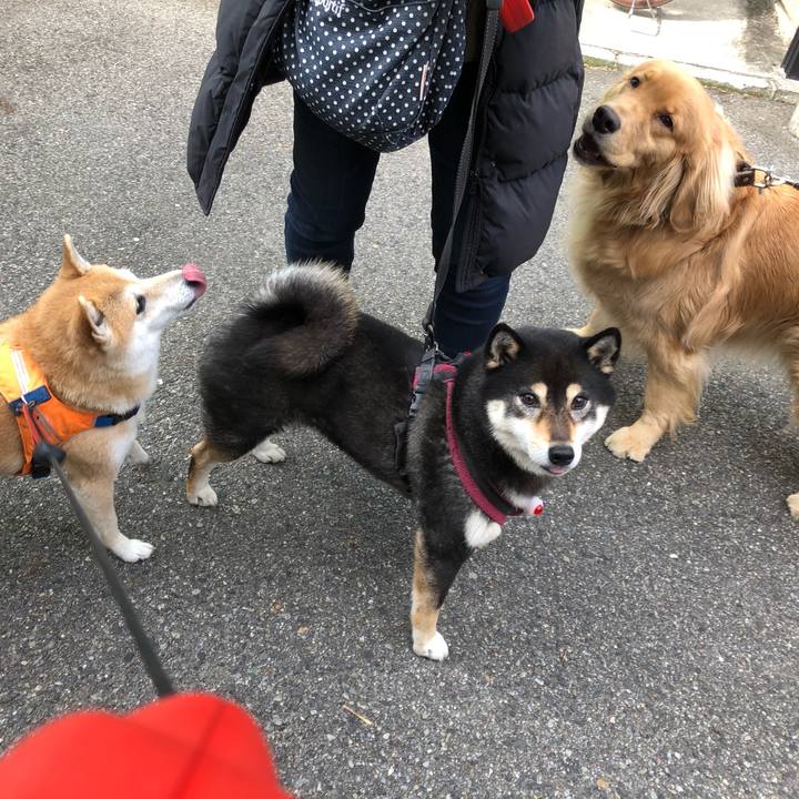 03a26de8 a809 4803 aad5 602b64685bcb 1579925759504