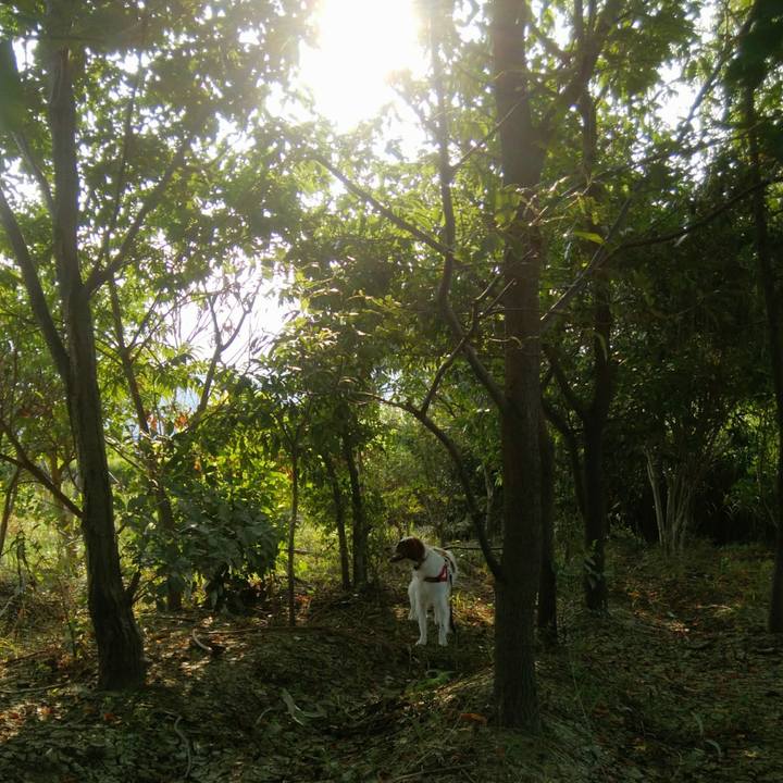 03a26eaf c52a 4aff a39b a75a606856d6 1533632009231