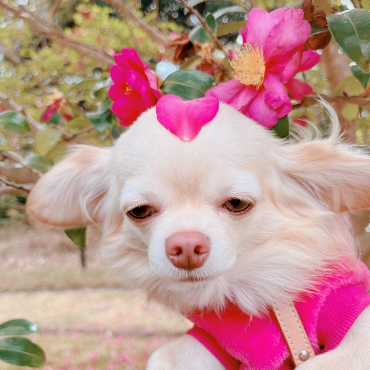 03a273a0 1419 40ab 9f58 b3282d5353ba 1672717477332