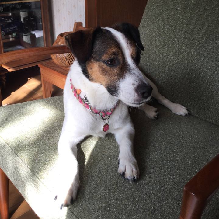 03a2868e d769 4387 8b4f e786dc55bf7a 1536707884362