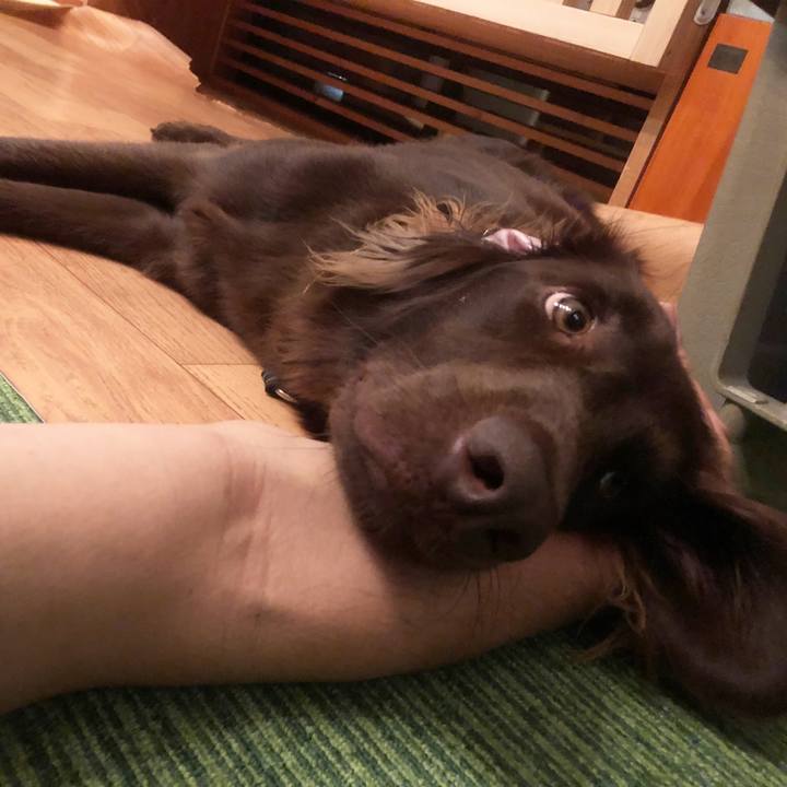 03a28eba 488f 4061 a742 53e218cd7d64 1594776394663