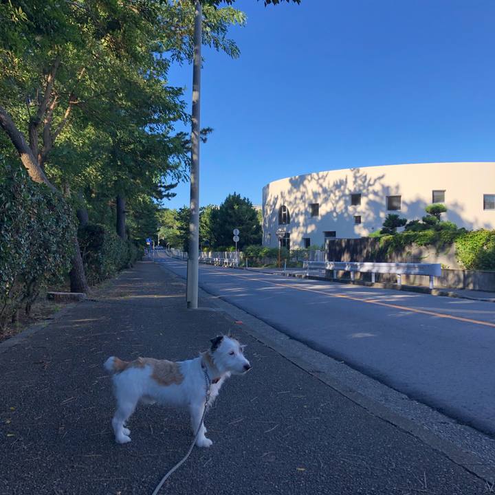 03a31717 6482 4e25 9fff 3f9c79a0daeb 1599345807205