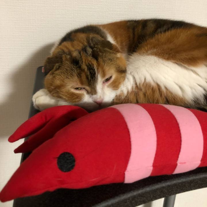 03a321dc 79d5 4c8a 981a 012ce0c5316b 1537870680083