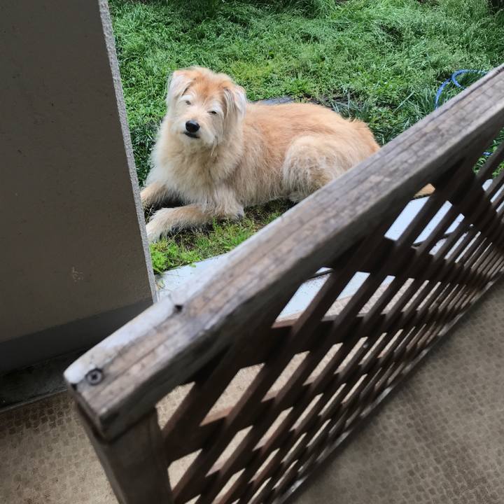 03a32b2d 2e93 4bb5 ae64 4afc339df410 1586757125819