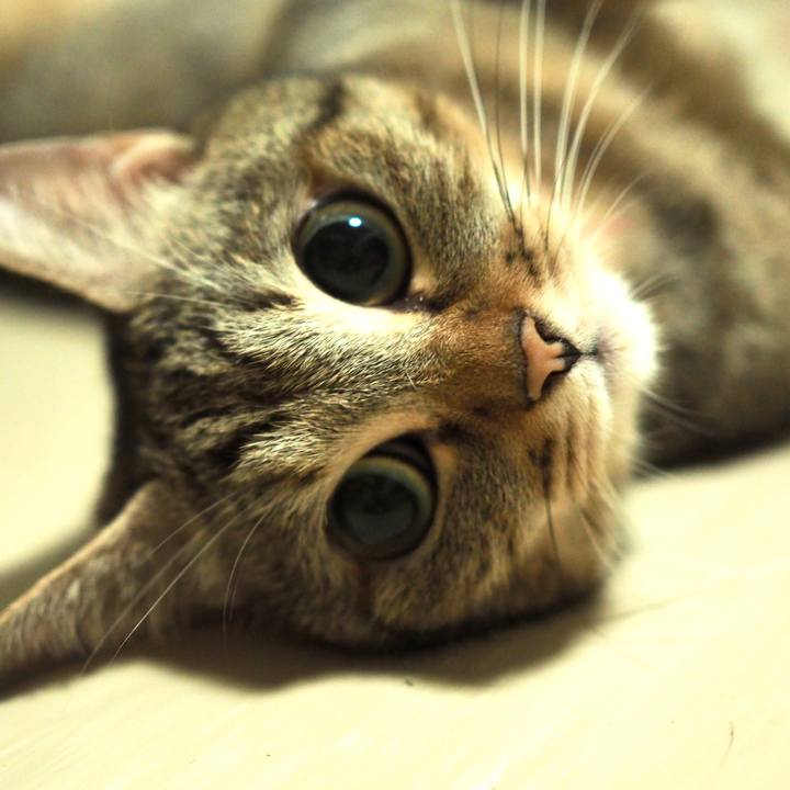 03a33b46 a0de 482e 8e7c d39db294d04e 1630664701940