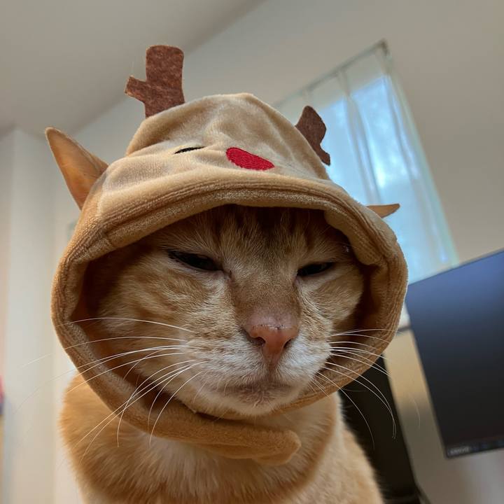 03a3530e b8d3 4433 b2f9 91ec49518b74 1766795186861