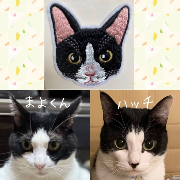 03a37655 97a9 4f98 bc06 ee8e091be7d9 1629781549889