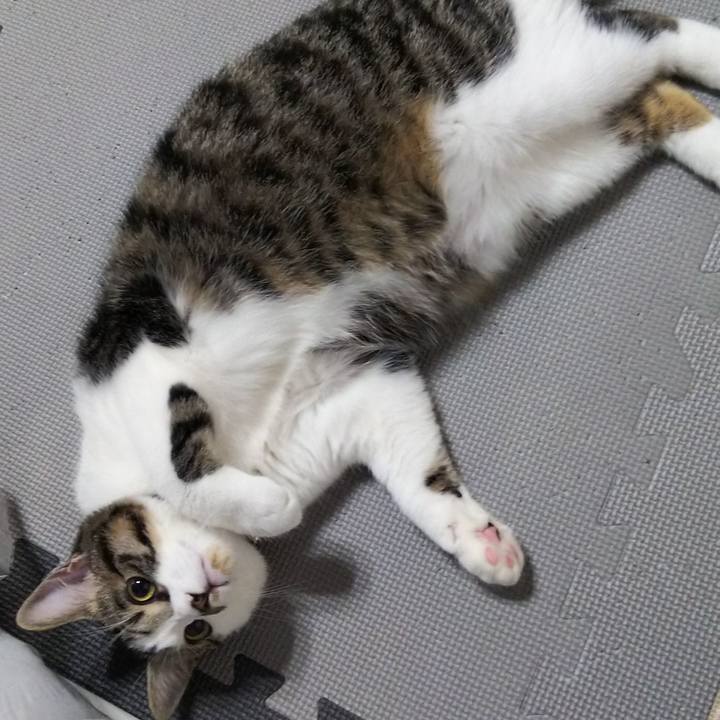 03a392ea 8f78 4ea3 8e37 93b49589e239 1620823267398