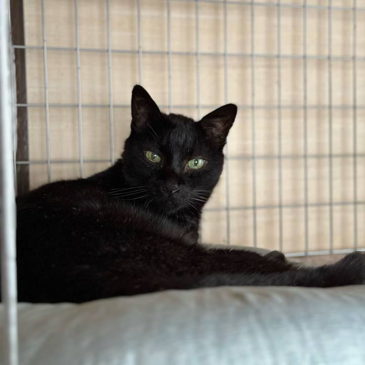 03a3baa2 4f8e 4627 b0d5 41724c01ce03 1694914644238