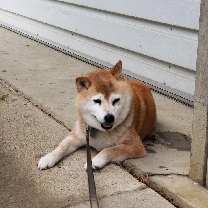 03a3d107 753a 4285 bf32 8d078756c19b 1721005102152